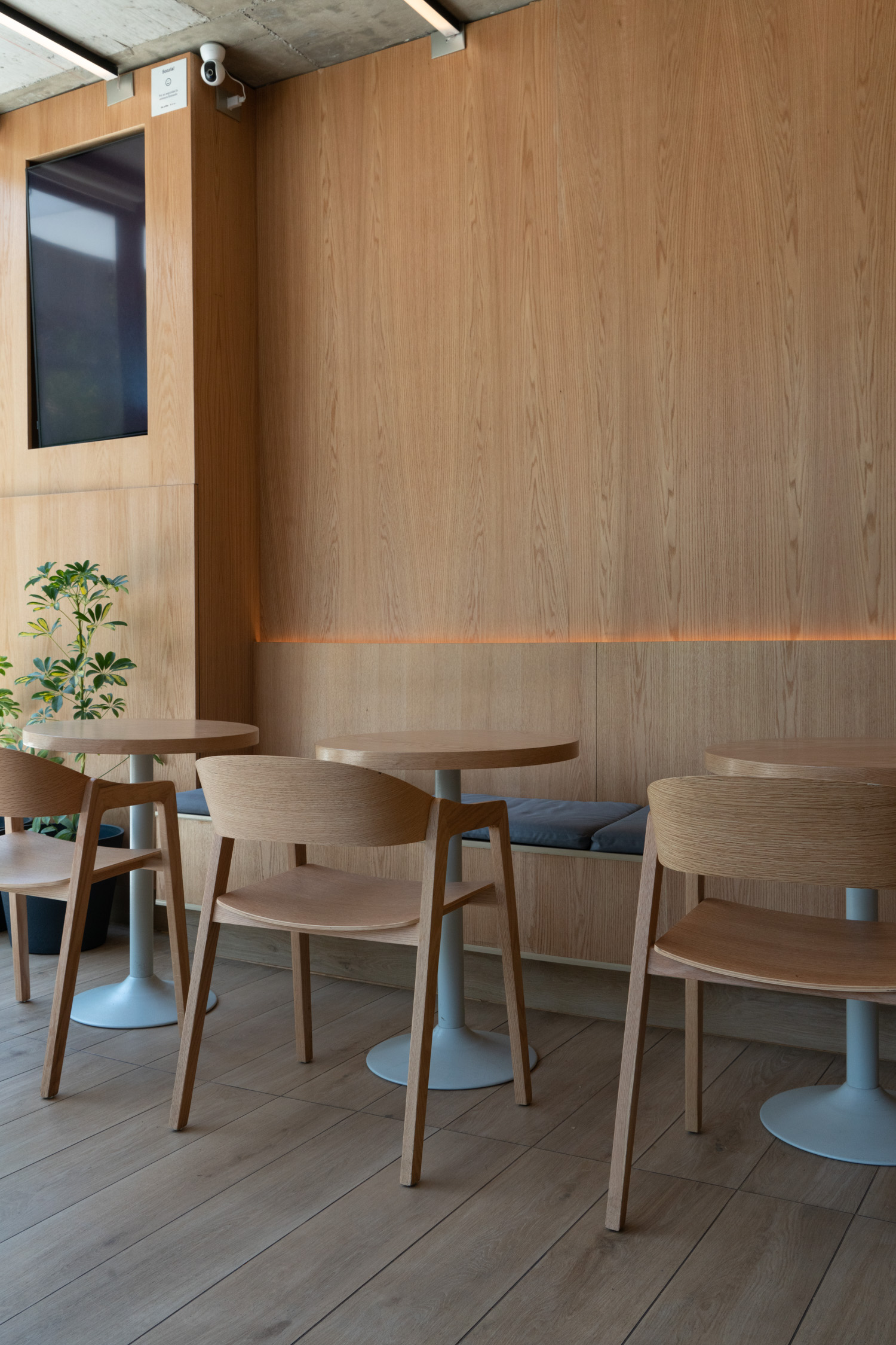 imagen producto THE COFFEE